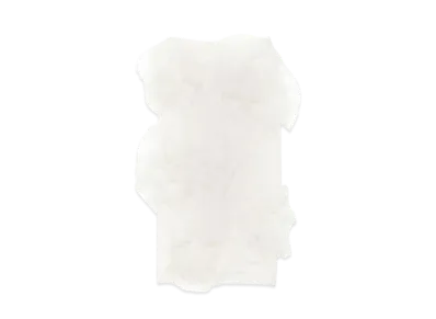 Acne Studios Mesh Frill Skirt "White"