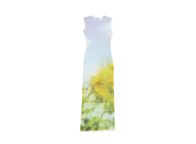 Acne Studios A Sleeveless Dress With A Blurred Print "Purple/Yellow"