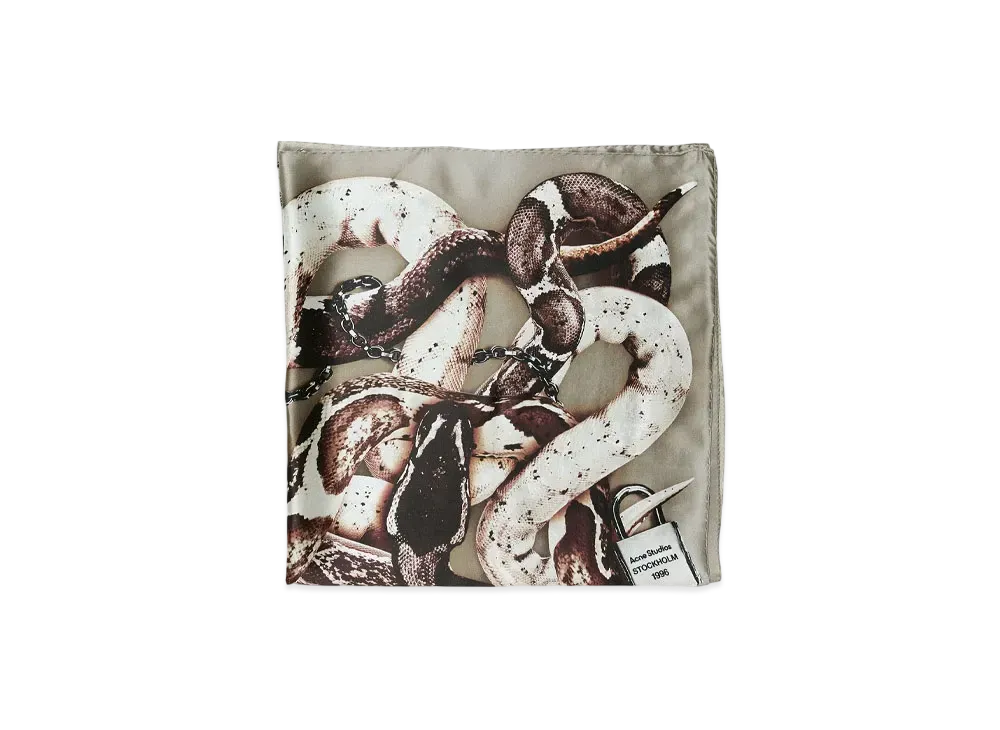Acne Studios Printed Silk Scarf "Multi"