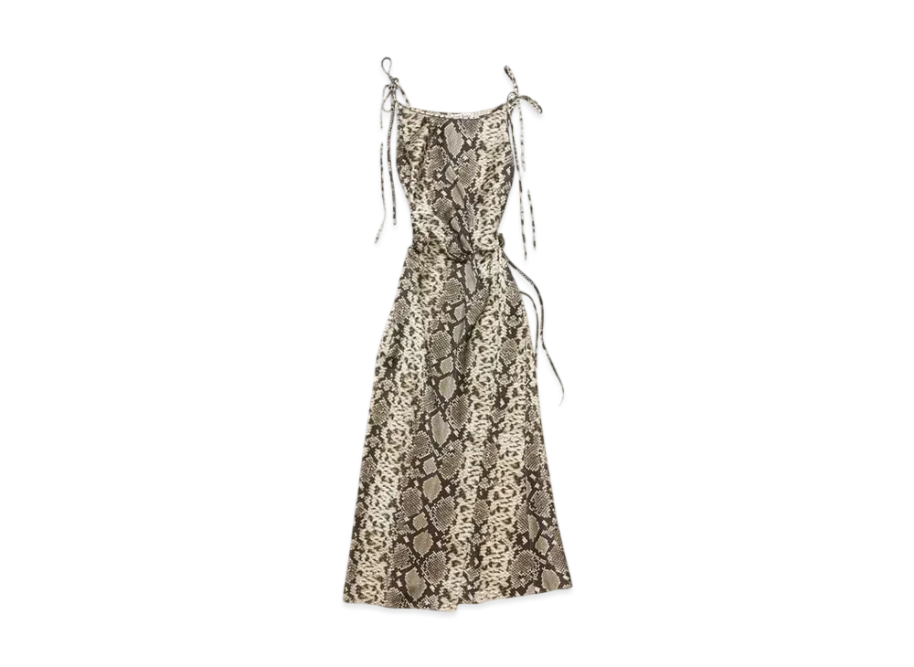 Acne Studios Satin Dress "Python"