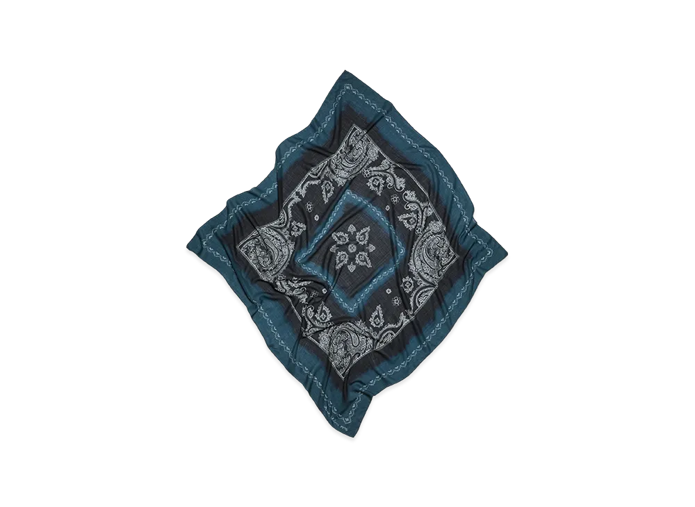 Acne Studios Printed Scarf "Anthracite/Grey"