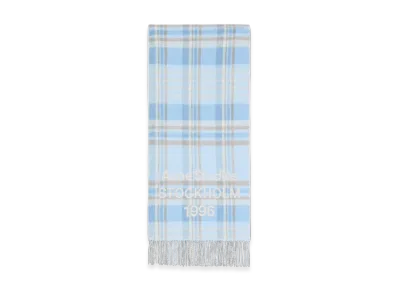 Acne Studios Check Logo Scarf - Wide "Aqua Blue/Beige"