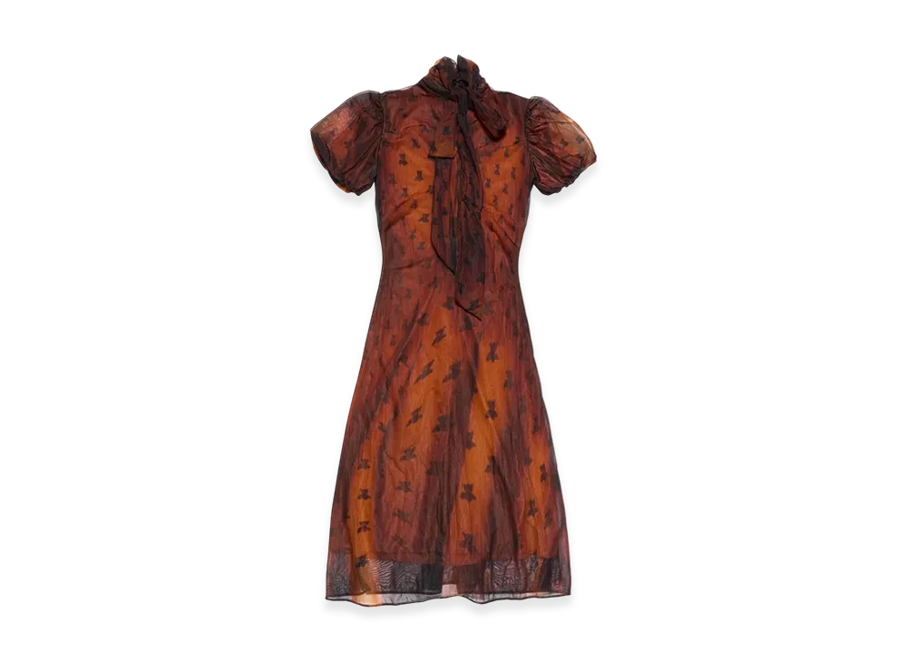 Acne Studios Ribbon Dress "Rust Brown"