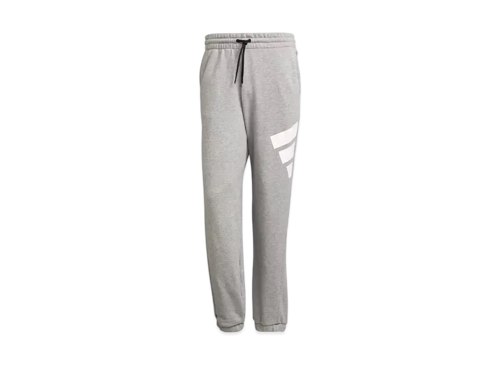 adidas Future Icon Logo Grafic Pant "Grey"