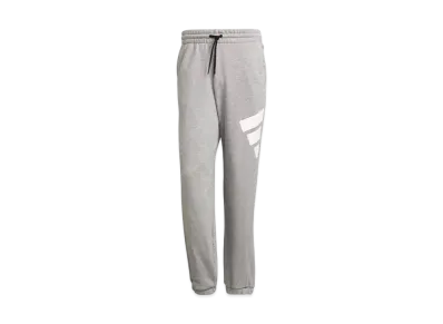 adidas Future Icon Logo Grafic Pant "Grey"