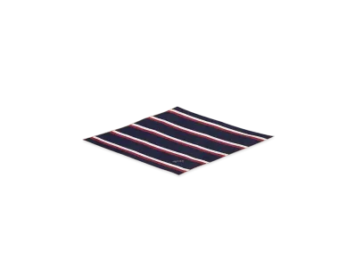 Alexander McQUEEN College Stripe Rosange Scarf "Navy/Bordeaux"