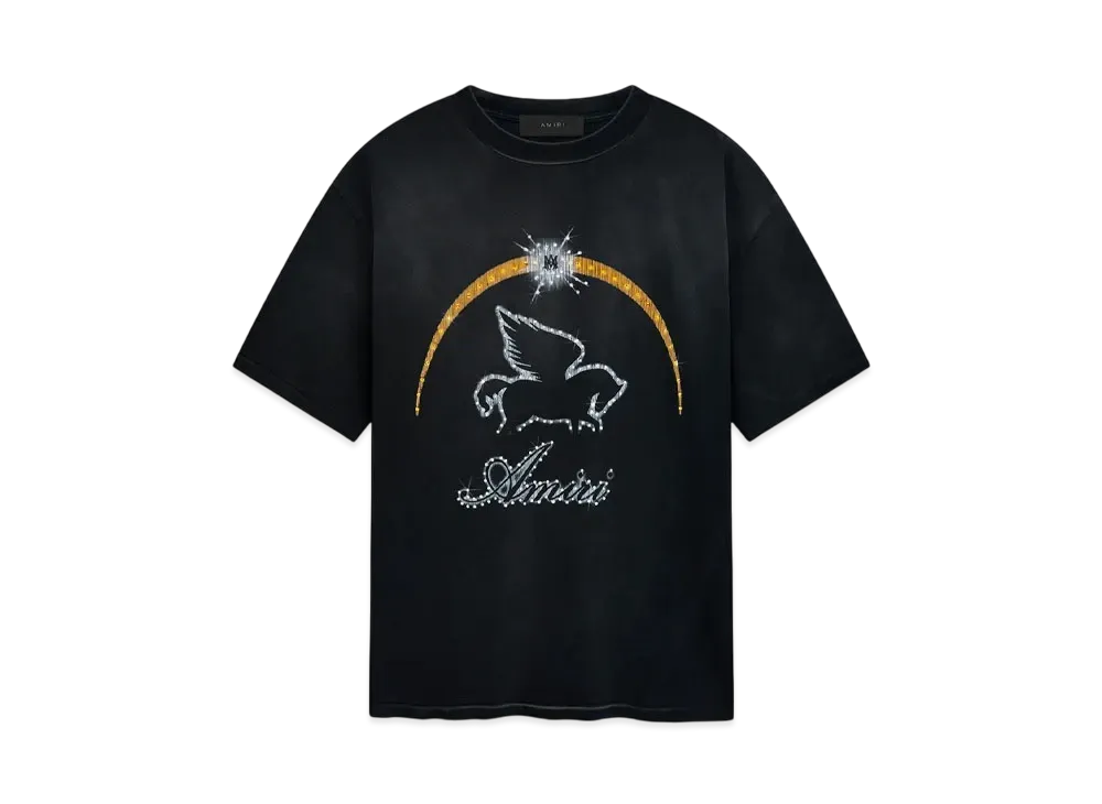 AMIRI ハイライオンスケーターTシャツ AMIRI HIGH LION SKATER TEE - Black | AMIRI