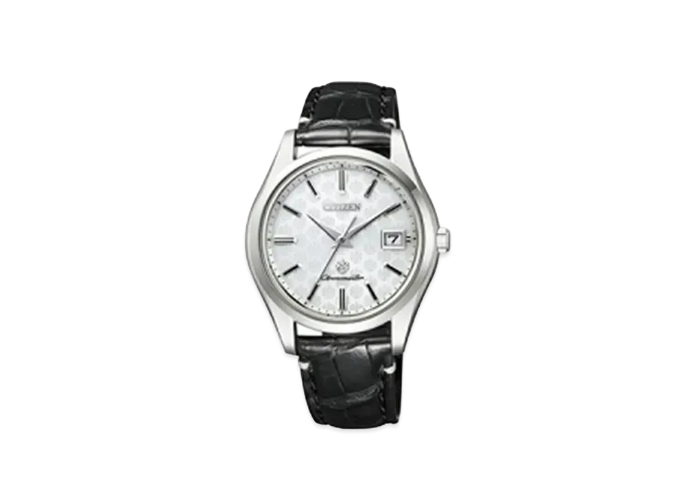 CITIZEN The Citizen AQ4001-08A
