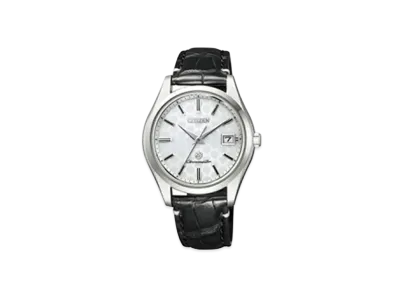CITIZEN The Citizen AQ4001-08A