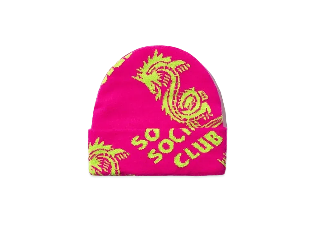 ANTI SOCIAL SOCIAL CLUB Garden Grove Knit Cap "Pink" (FW20)