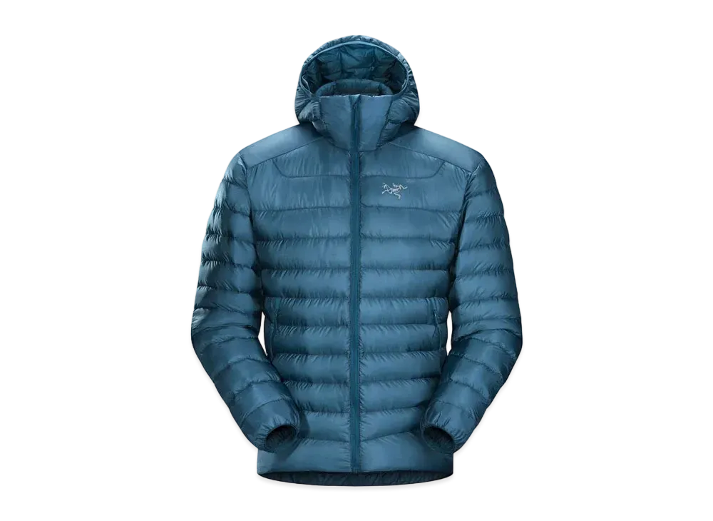 ARC TERYX CERIUM LT HOODIE "Forcefield"