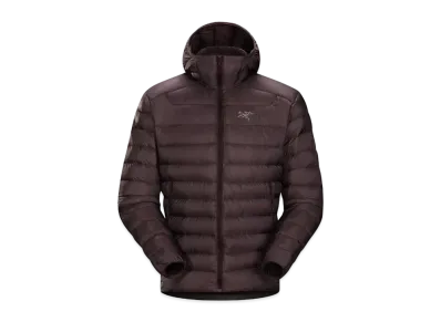 ARC TERYX SOLIUM AR HOODIE "Figment"