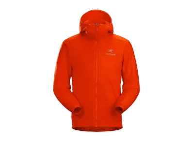 ARC'TERYX Atom LT Hoodie "Dynasty" 24108/X000005160