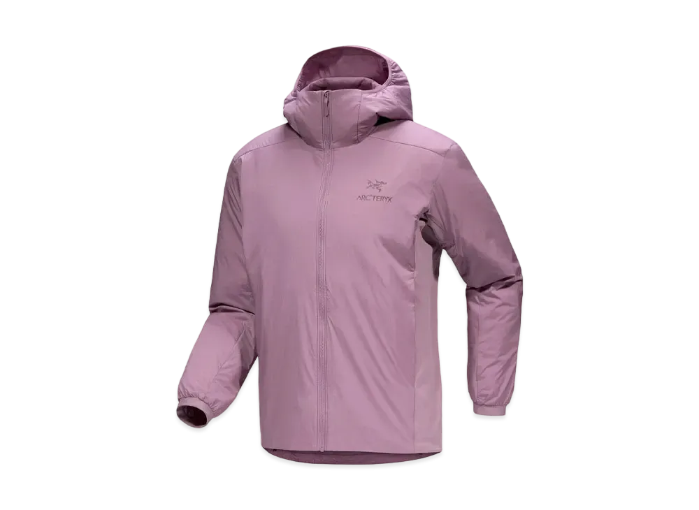 ARC'TERYX Atom Hoody Men's "Interstellar"