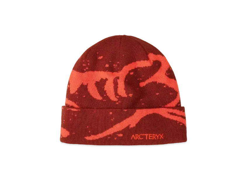 スキー・スノーボードアクセサリー ARC'TERYX Grotto Toque スキー・スノーボードアクセサリー ARC'TERYX Grotto Toque