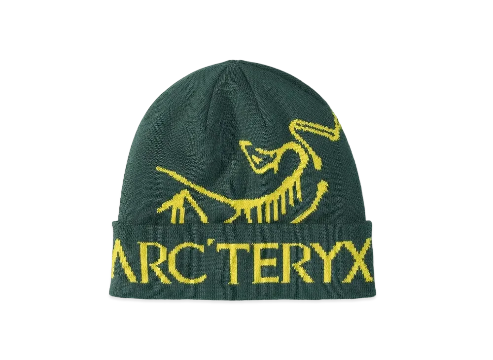ARC'TERYX Bird Word Talk X000006644 "Pytheas/Lampyre"