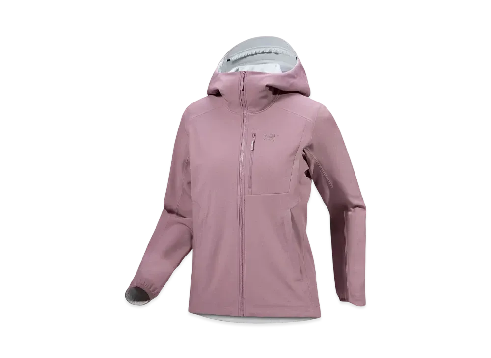 ARC'TERYX Gamma Heavy Weight Hoody Women's "Interstellar"