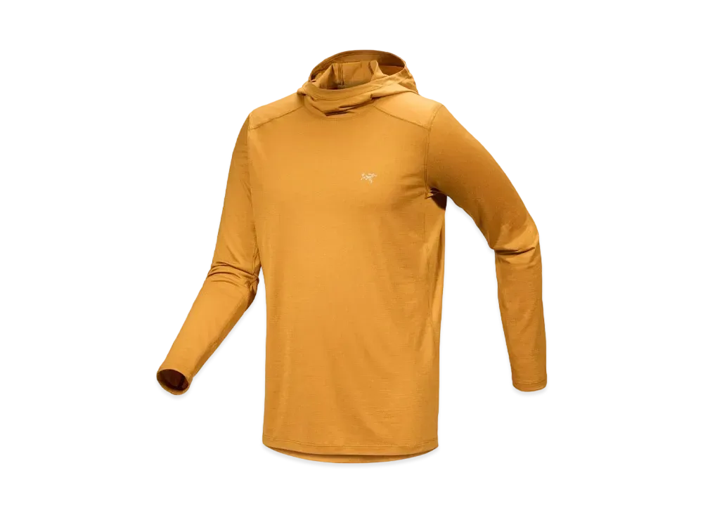 ARC'TERYX Ionia Merino Wool Hoody For Men's X000006853 "Yukon"