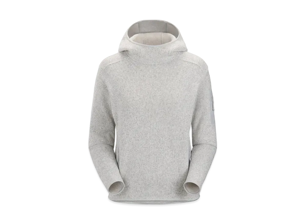 ARC'TERYX Women's Covert Pullover Hoodie X000005741 "Atmos Hether"