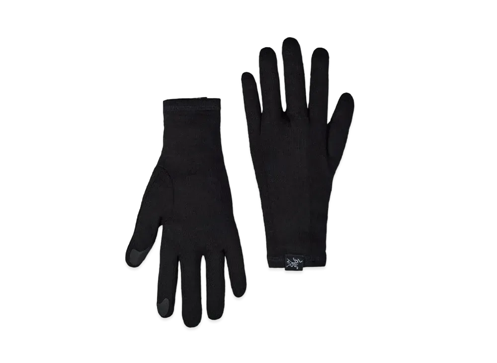 ARC'TERYX Gothic Gloves X000006539 "Black"