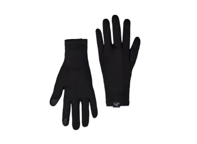 ARC'TERYX Gothic Gloves X000006539 "Black"