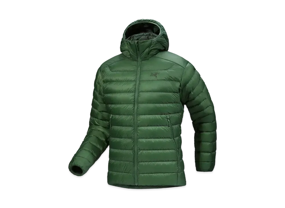 ARC'TERYX Cerium Hoody Men's "Eden"