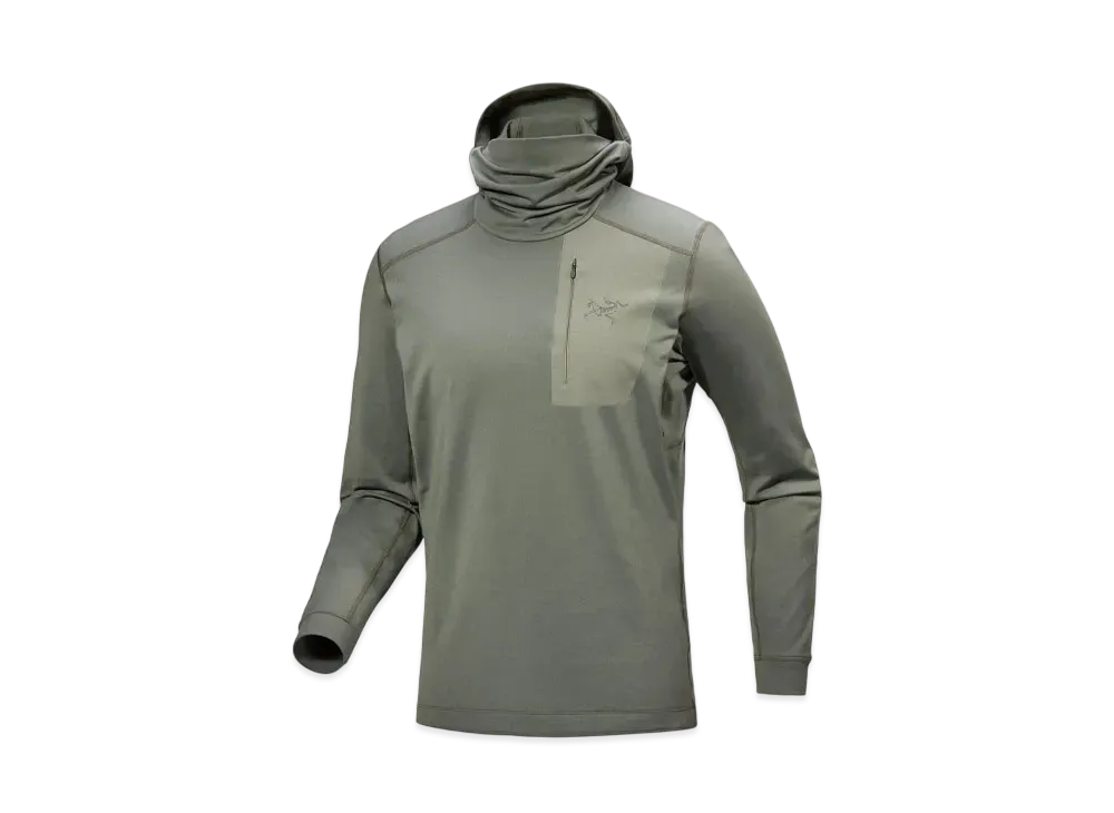 ARC'TERYX Low LT Hoody Men's "Forage"