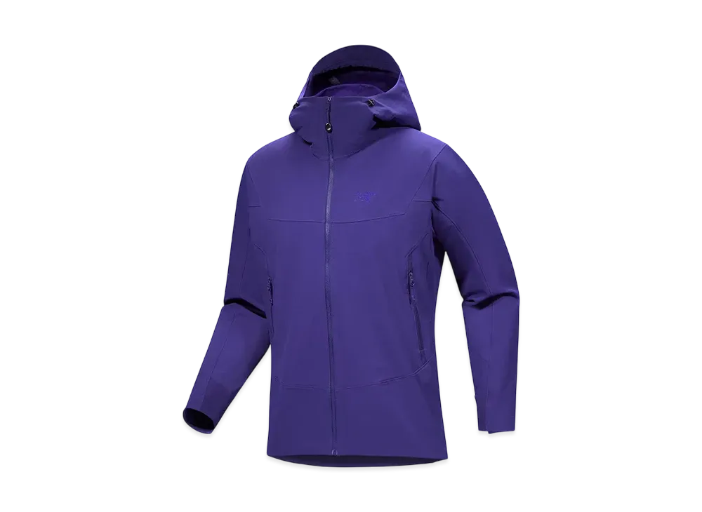ARC’TERYX Gamma Hoody M "Soulsonic"