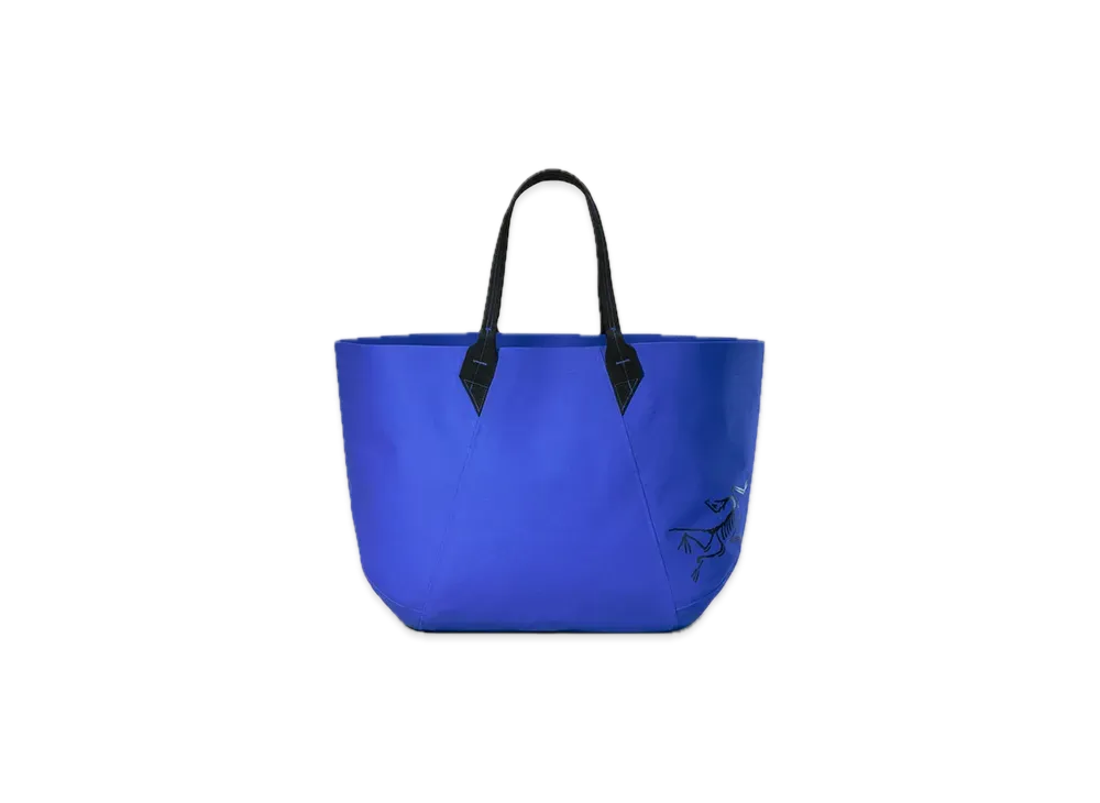 ARC'TERYX Carrier 45 Gear Tote "Electra"