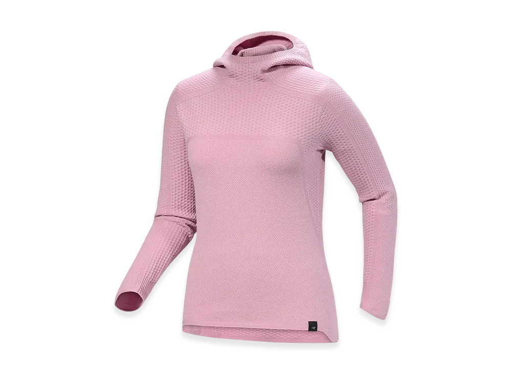 ARC'TERYX Hallam Merino Wool Hoody Women's "Bliss" X000007875