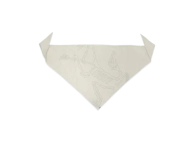 ARC'TERYX Sinsolo Bandana "Beige" X000010184