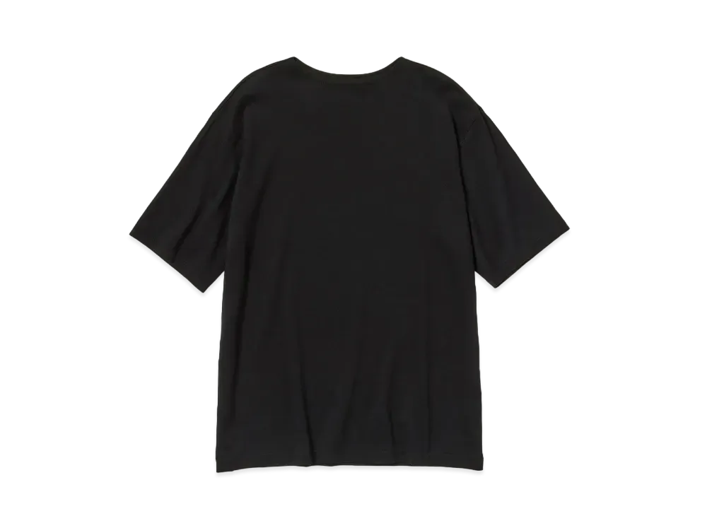 AURALEE Luster Plaiting Narrow Boat Neck Tee "Black"