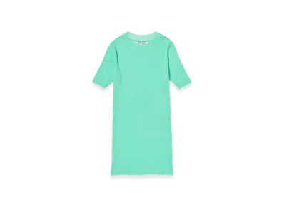 AURALEE Super High Gauge Sheer Rib T-Shirt "Aqua Green"