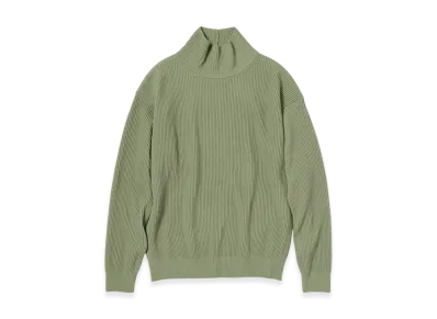 AURALEE Super Fine Wool Rib Knit Turtle "Dusty Green"
