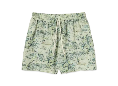 AURALEE Printed Airy Silk Shorts "Pale Green"