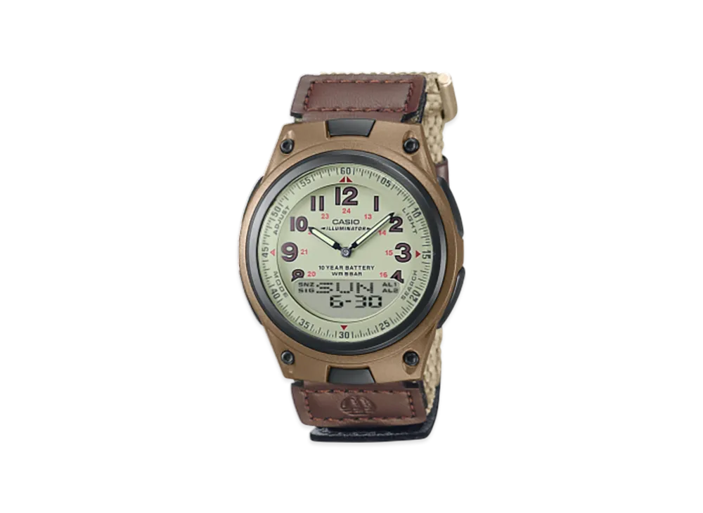 Casio Collection AW-80V-5BJF "Brown"