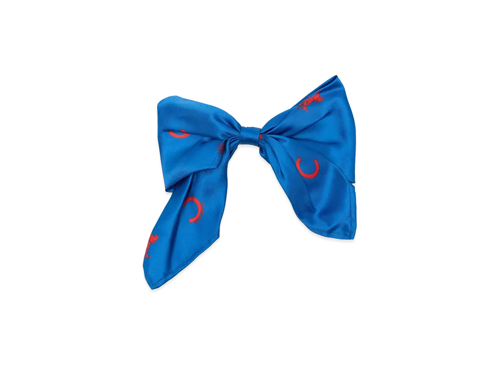 CELINE Women's Capsule Accessories "Blue"