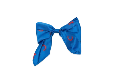 CELINE Women's Capsule Accessories "Blue"
