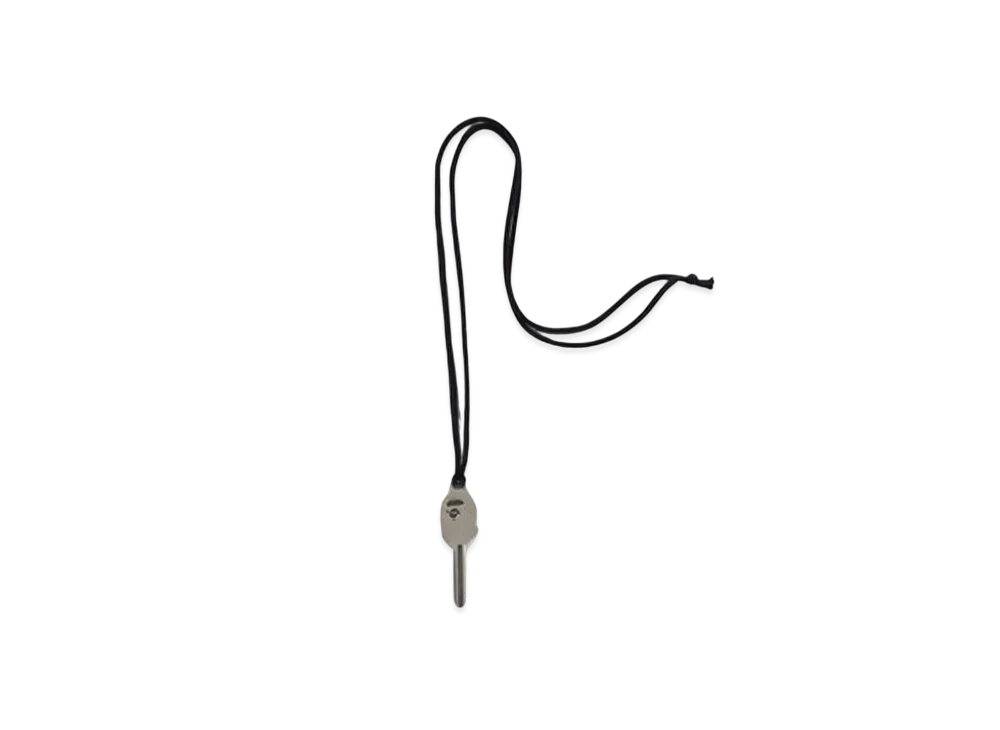 A BATHING APE Ape Head Key Necklace "Silver"