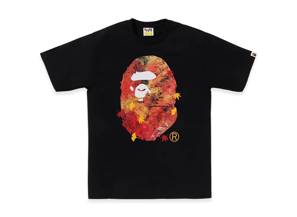 A BATHING APE Autumn Photo APE Head Tee "Black"