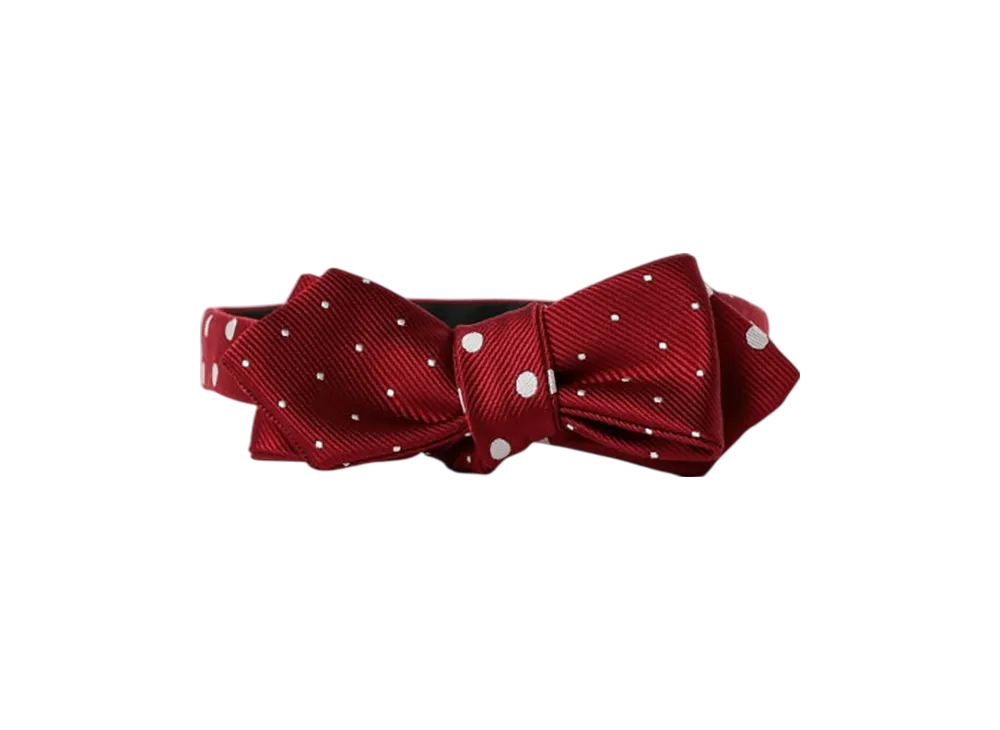 BEAMS Silk Bow Tie Dot "Wine"