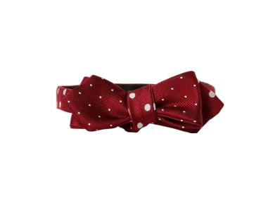 BEAMS Silk Bow Tie Dot "Wine"