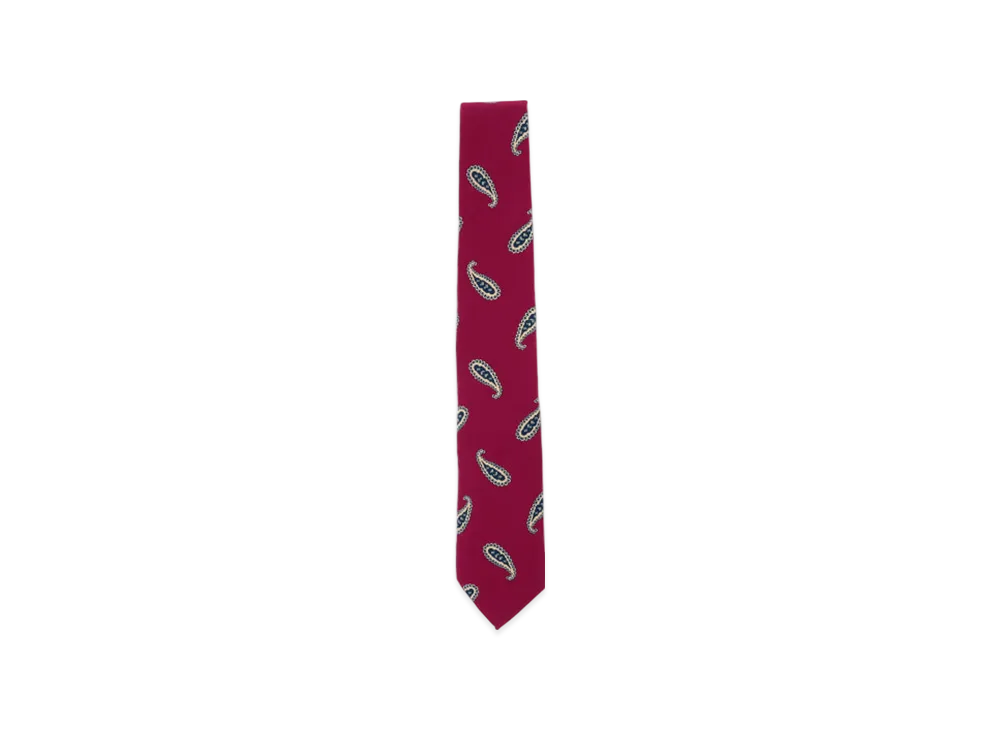 BEAMS Silk Tie Paisley Print "Red"