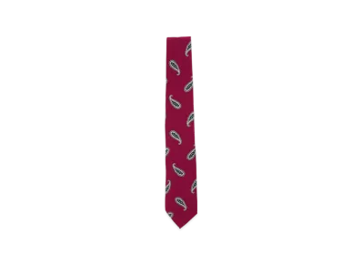 BEAMS Silk Tie Paisley Print "Red"