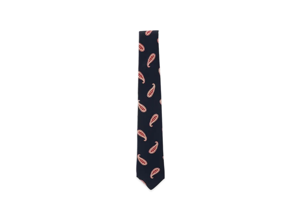 BEAMS Silk Tie Paisley Print "Navy"