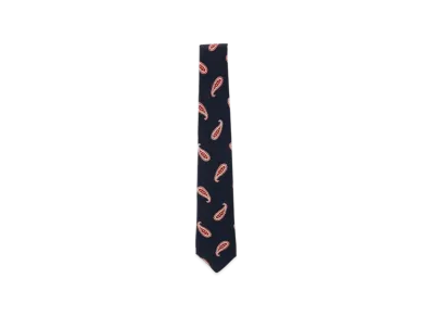 BEAMS Silk Tie Paisley Print "Navy"