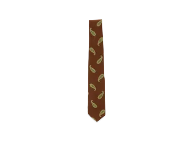 BEAMS Silk Tie Paisley Print "Brown"