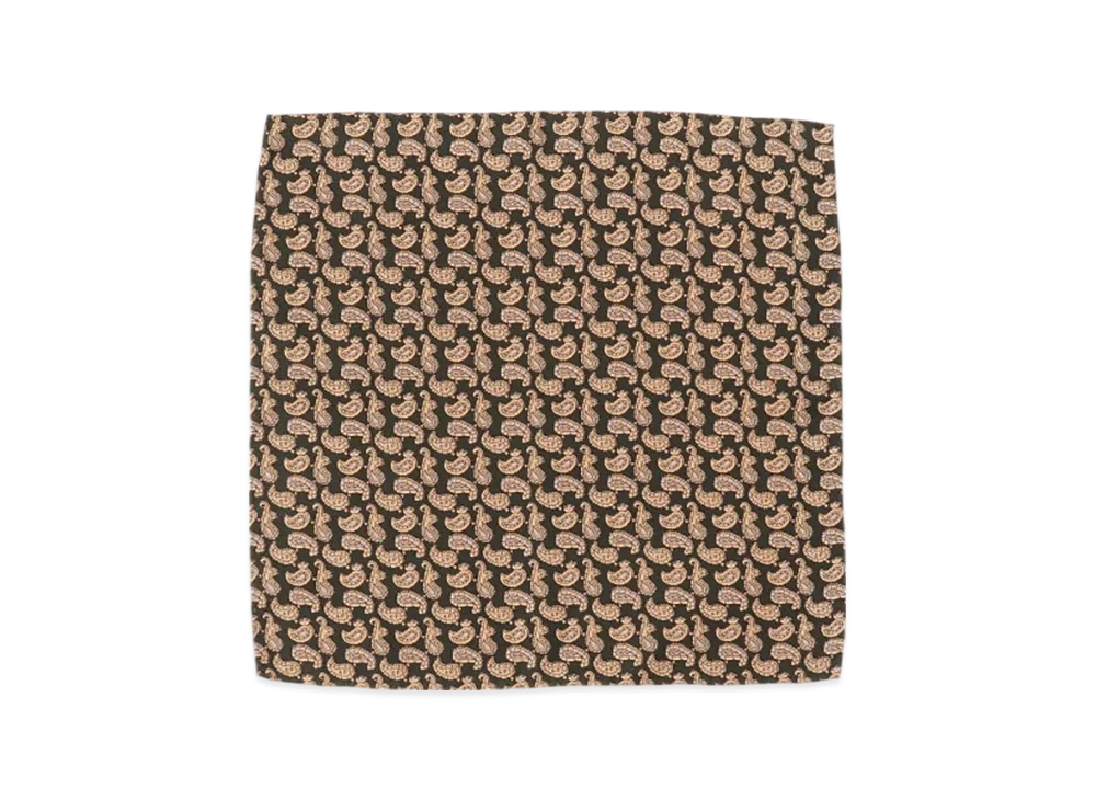 BEAMS Pocket Chief Silk Hopsack Paisley Print "Green"
