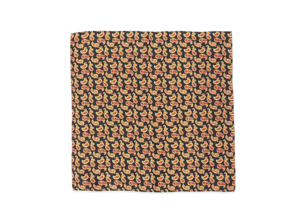 BEAMS Pocket Chief Silk Hopsack Paisley Print "Blue"