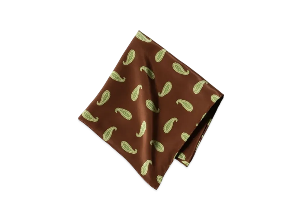 BEAMS Pocket Chief Paisley Print "Brown"